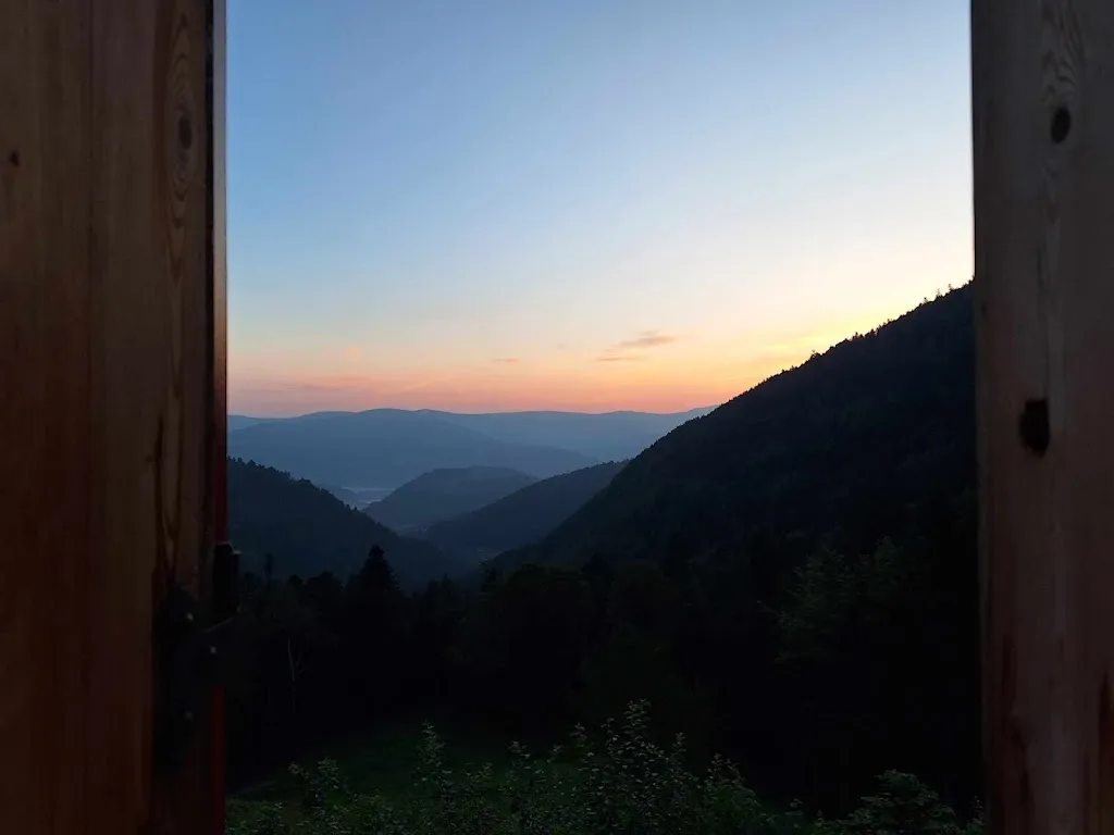 Stephane REMY_Green Grass of cottage_Storckensohn_review