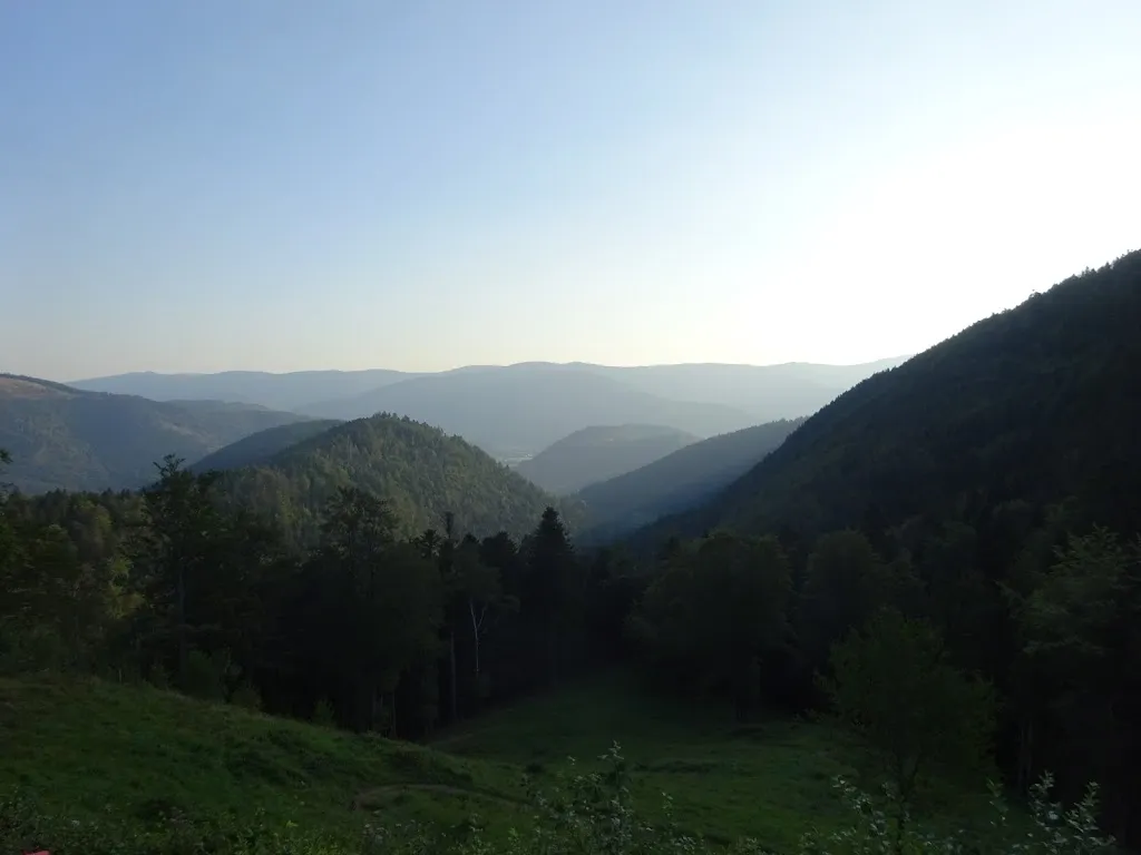 Paulus-Jan Kieviet_Green Grass of cottage_Storckensohn_review