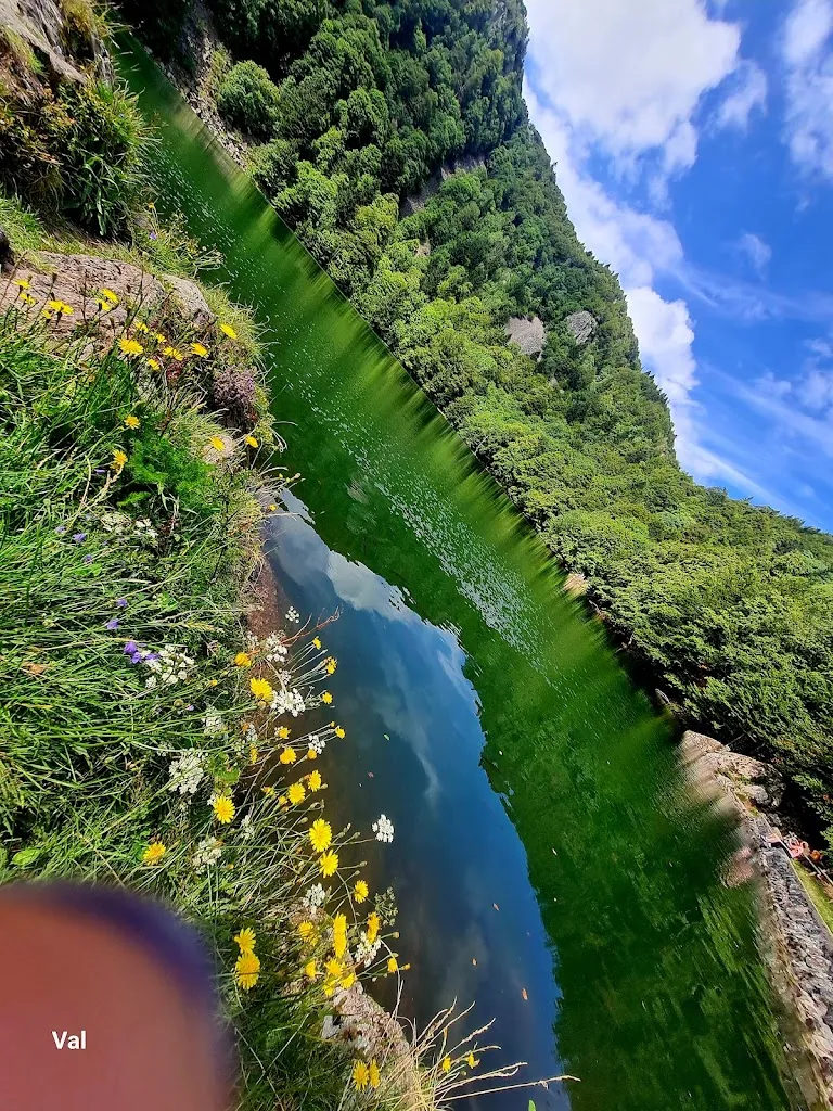 Valérie Cannata_Green Grass of cottage_Storckensohn_review