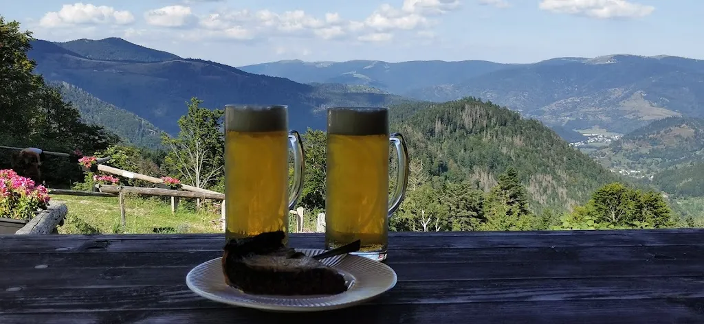 Green Grass of cottage_Storckensohn_slider_image_3