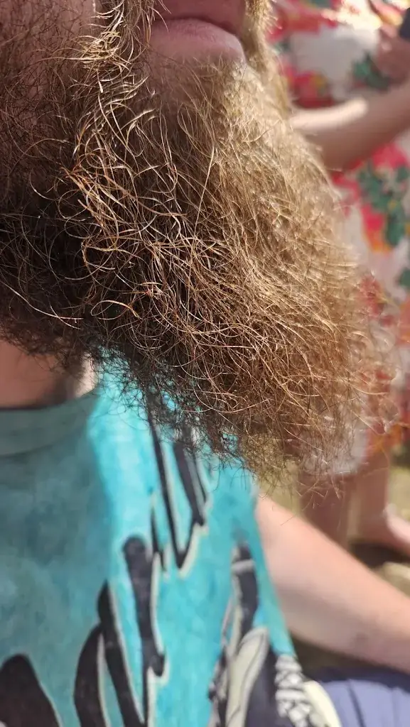 Jacques Pierrat_FouineSnack _Brumath_review