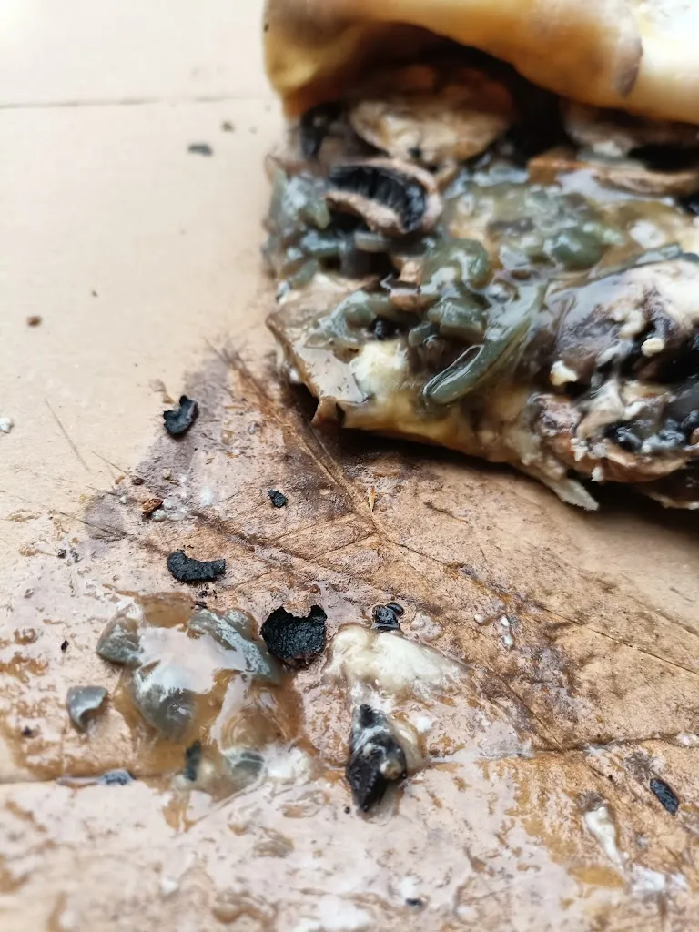 Claire Zajac_LES PIZZAS DE ROMAIN_Château-Porcien_recensione