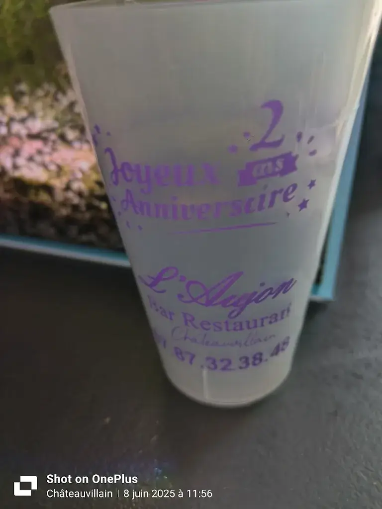 manou Lydie_L'Aujon_Châteauvillain_review