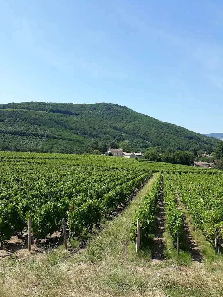 Les Grabottes_Charentay_slider_image_2