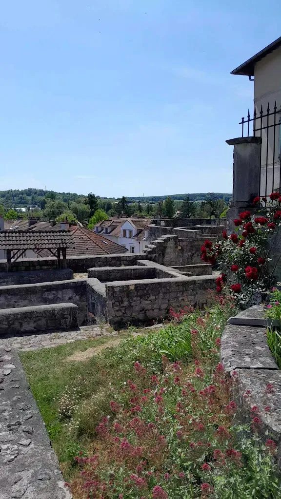 Jean Michel_Forteresse médiévale_Châtel-sur-Moselle_reseña