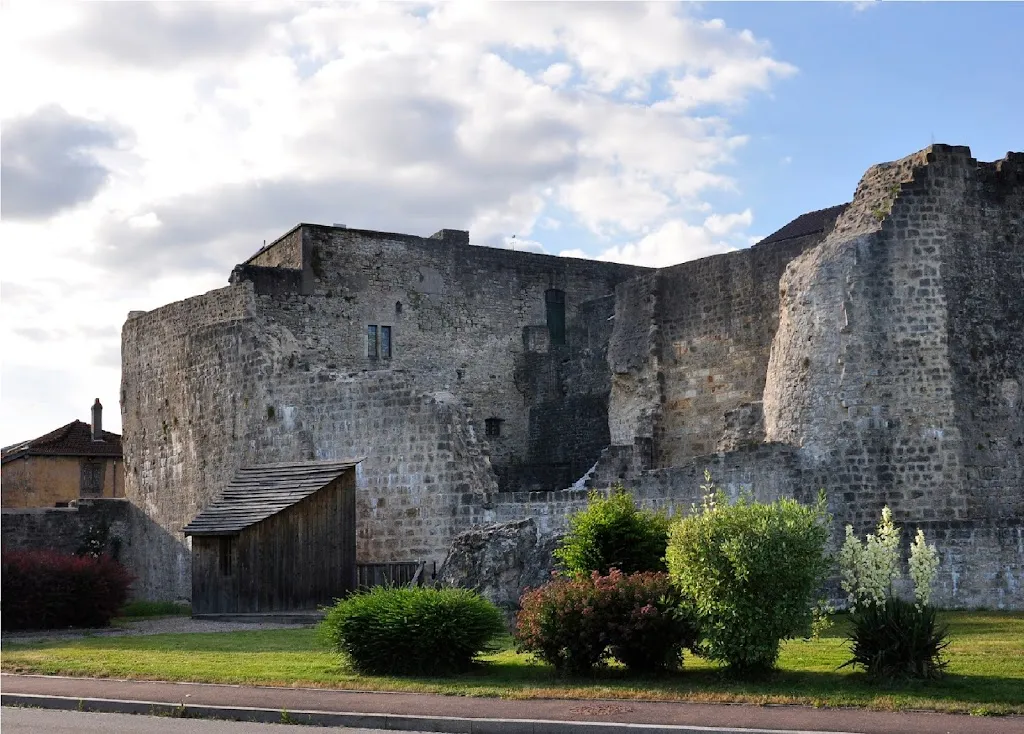 Forteresse médiévale_Châtel-sur-Moselle_slider_image_1