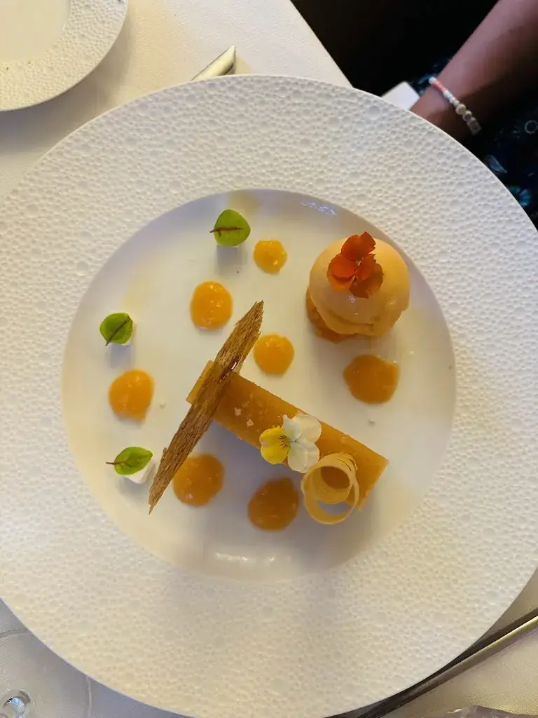 Sapateiro Mario_L'Esterel_Mulhouse_avis