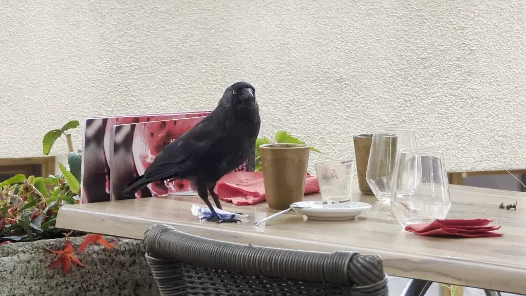 La Bigorne_Chauvigny_slider_image_2