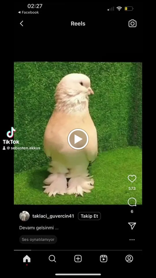 Sıla melek Restorant - 55 CLERMONT EN ARGONNE_Clermont-en-Argonne_slider_image_2