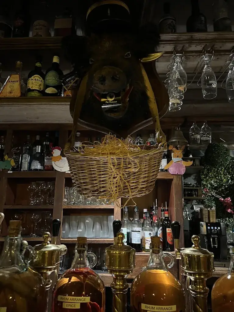 Nursen Nostar_Le Darwin_Châtenois_review