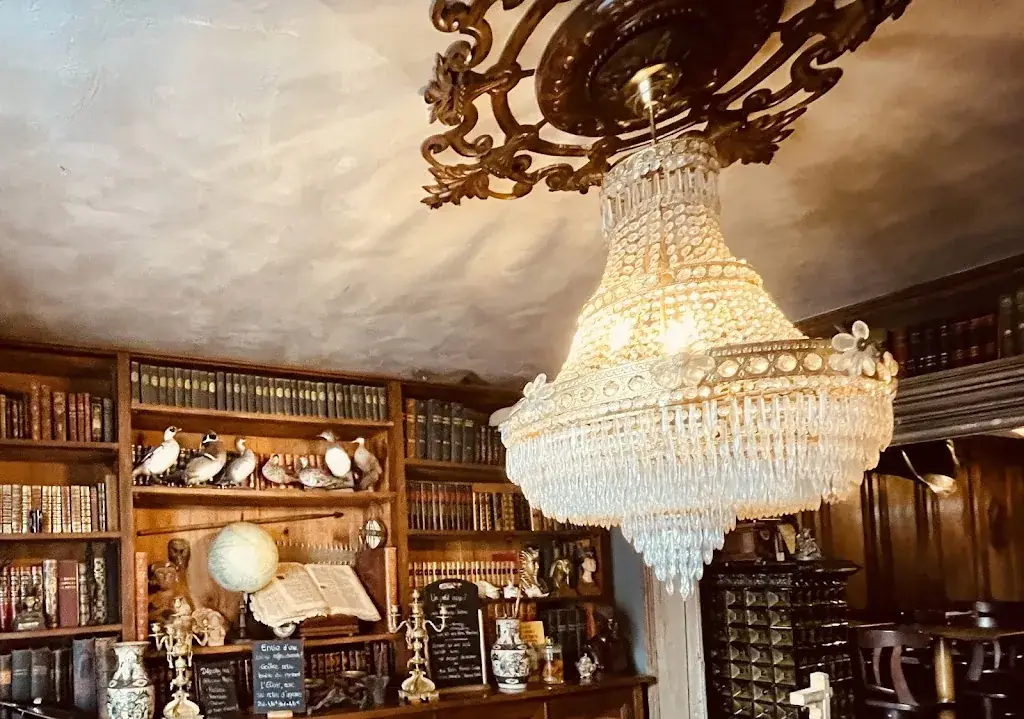 Alexander Koustov_Le Darwin_Châtenois_review