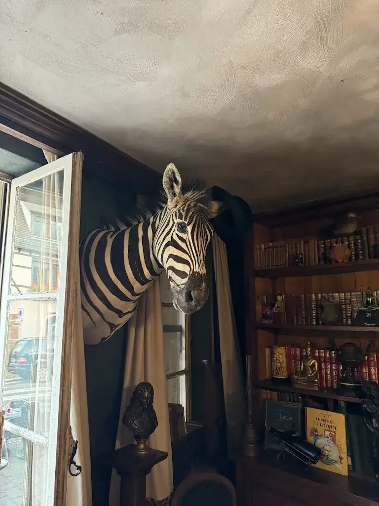 Colm Maloney_Le Darwin_Châtenois_review