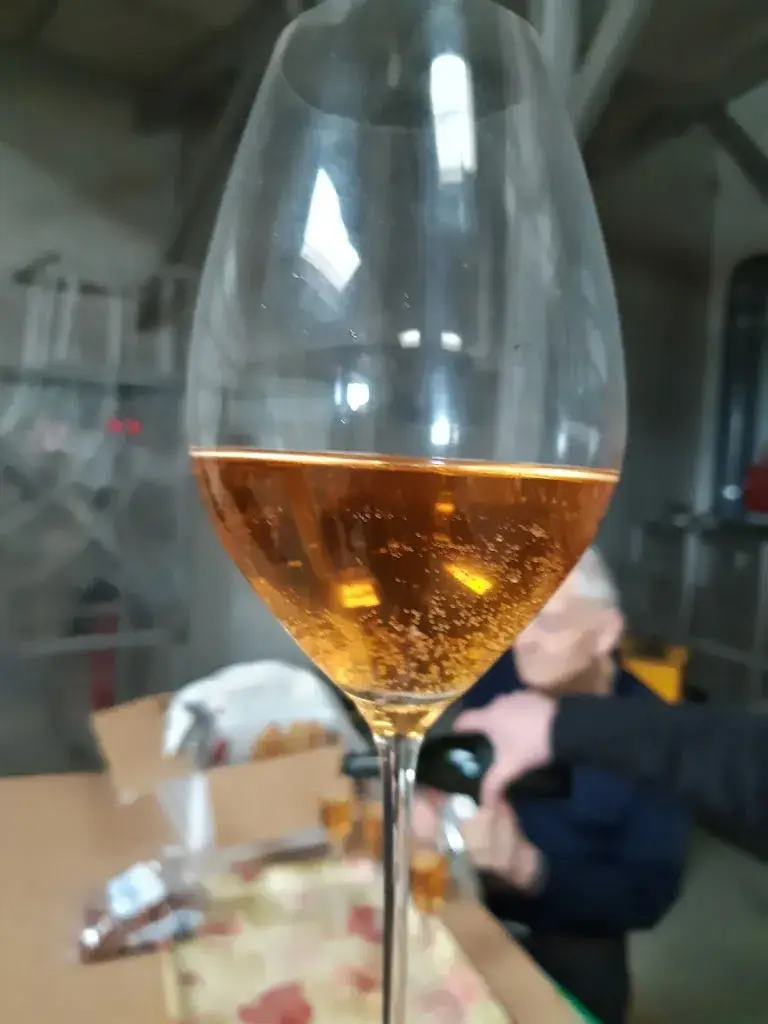 Menu_Mets Envies_Hermonville_image_5