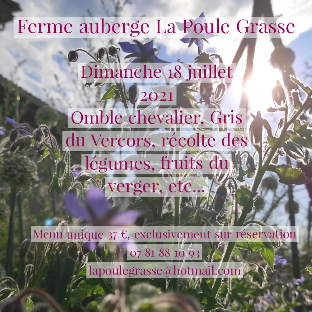 Menü_La Poule Grasse_Chantemerle-les-Blés_Bild_4