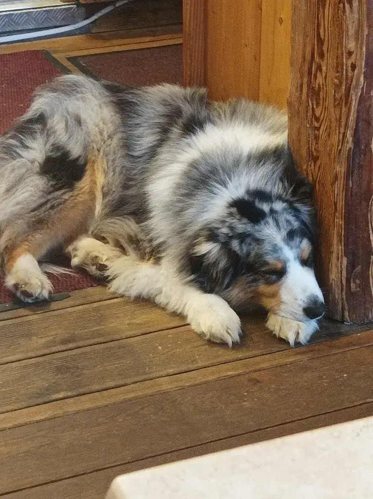 cécile turpin_Snack Bar L'Ecureuil_Allevard_review