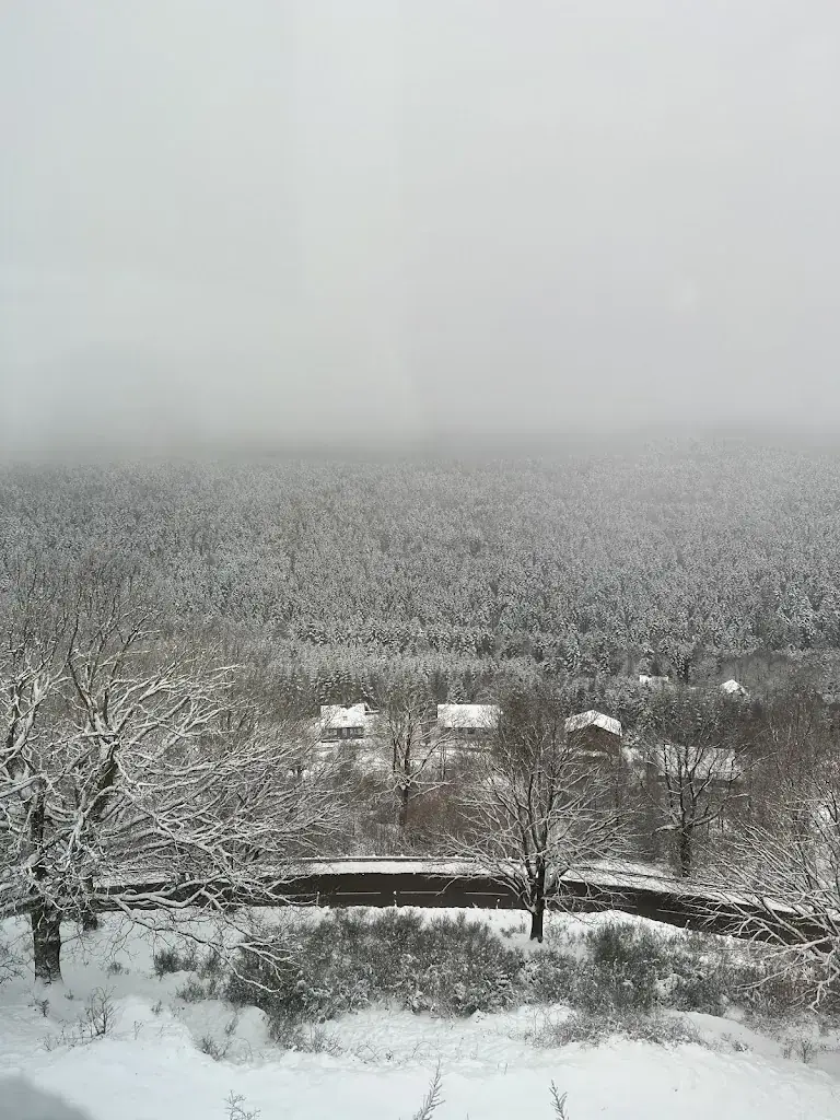 Jay Castillo_La Chouette d'Or_Dabo_review