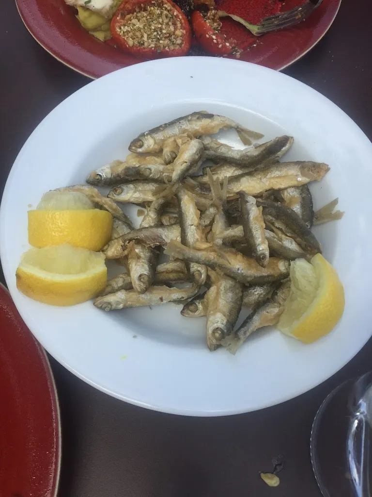 Jan P_Auberge Monnet_Roche-de-Glun_recensione