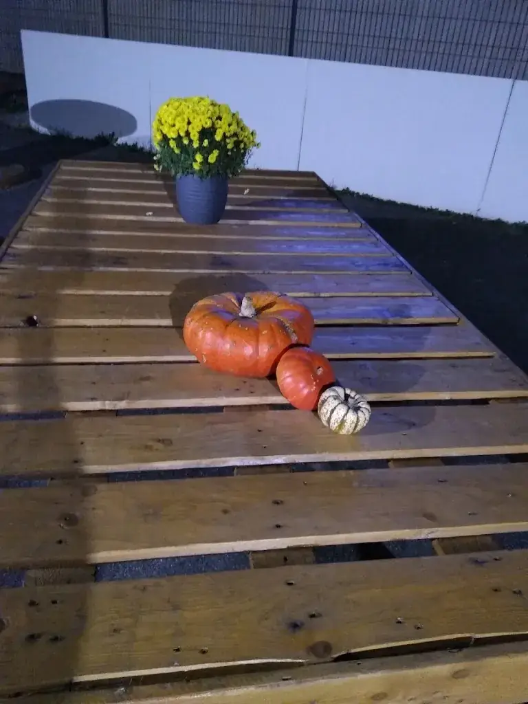 Menu_O'Chalet Conflans_Conflans-en-Jarnisy_image_6