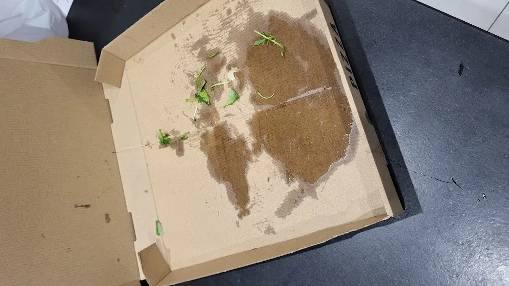 Julien Laurent_BELLA CIAO_Jarny_review