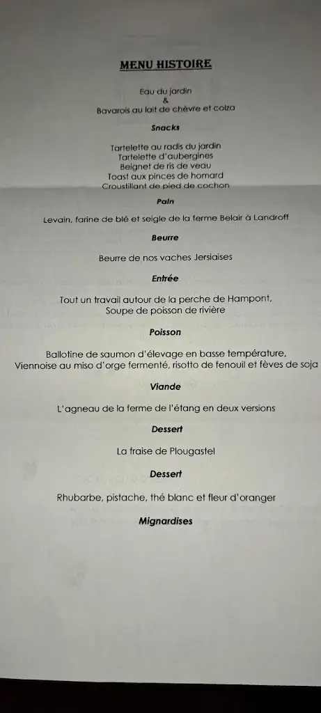 Menu_Toya_Faulquemont_image_3