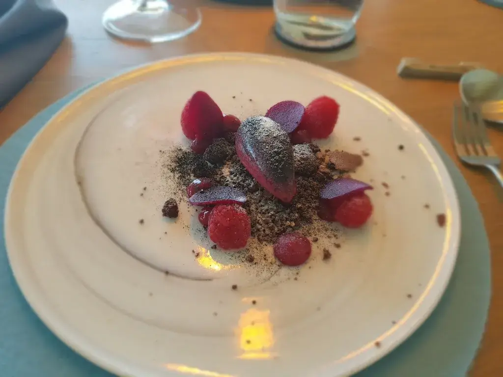 Antonin Gay_Toya_Faulquemont_review