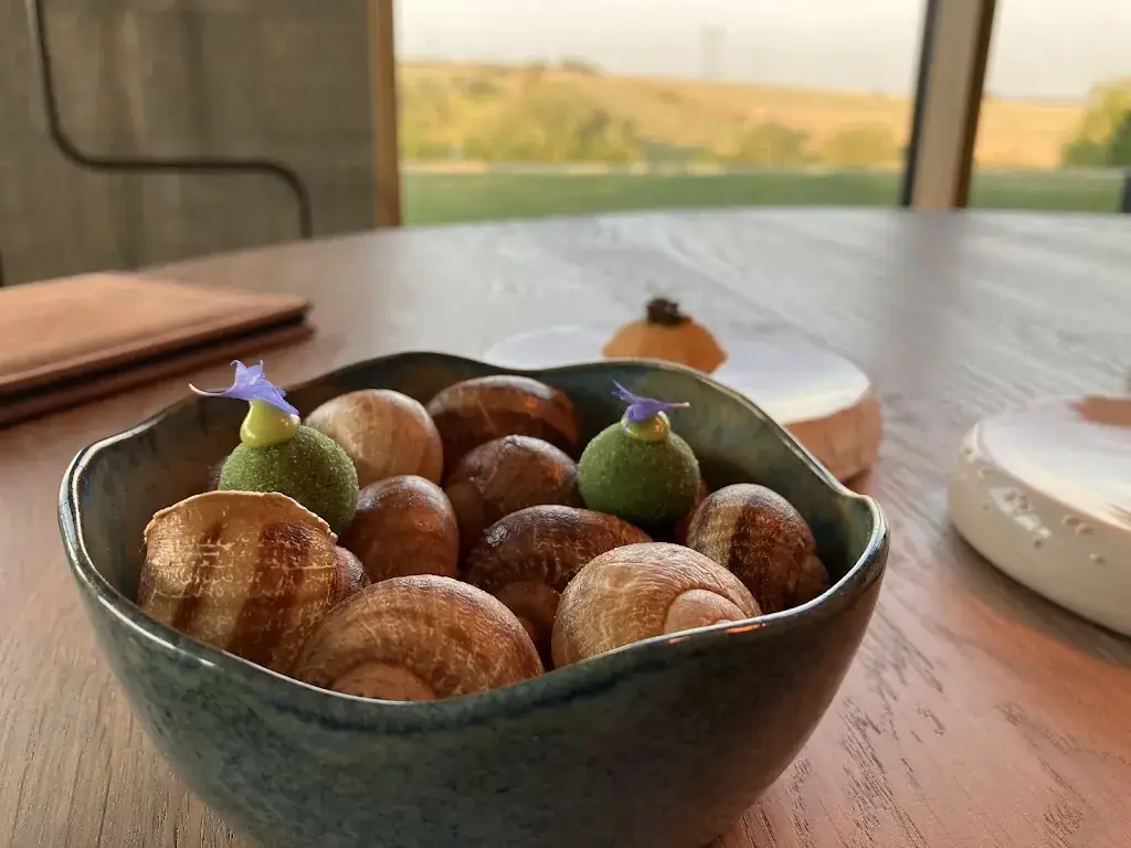 Toya_Faulquemont_slider_image_3