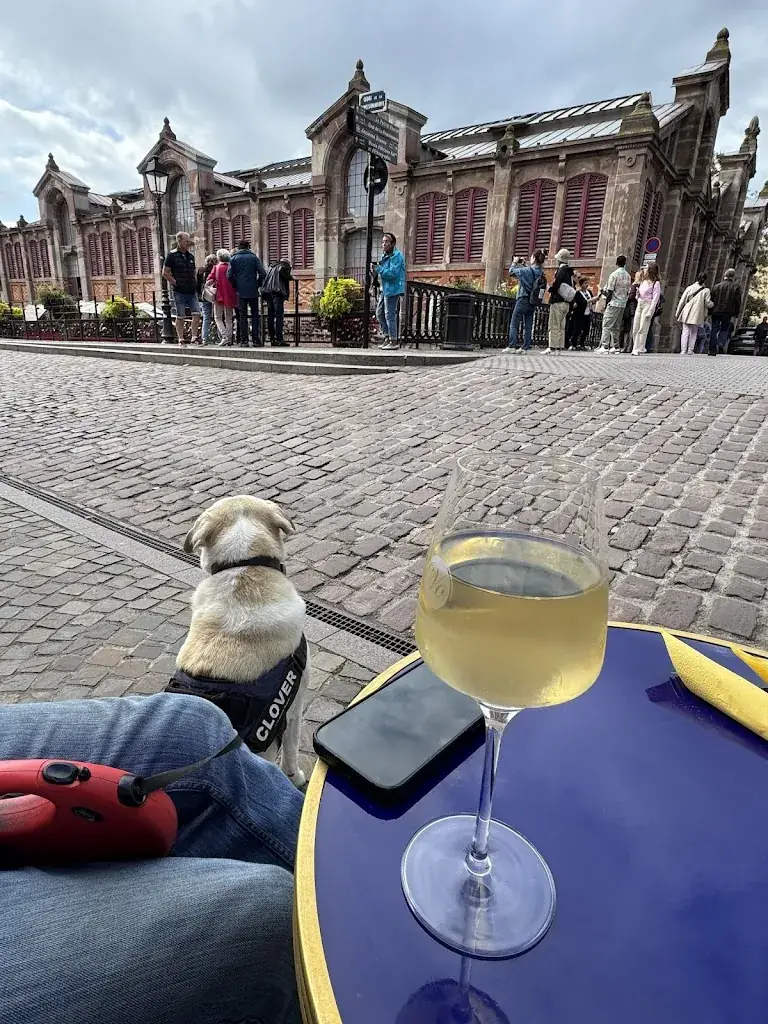 Mark Roger (Creative Experiences)_Version Originale 68_Colmar_review