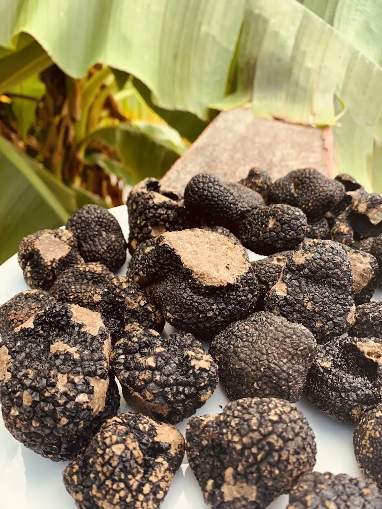 Menu_La Tour de Pizz' by Steph_Dietwiller_image_9