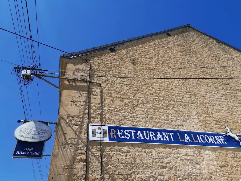 Christiane Podkowa_La Licorne_Dom-le-Mesnil_review