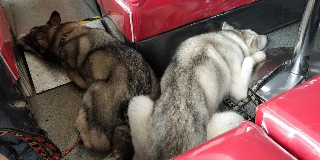 Morgane Treuillet_L' Instant Gourmand_Distroff_review