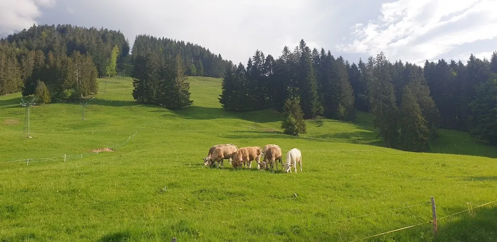 Buvette de La Chia_Bulle_slider_image_3