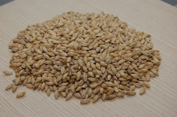 Menu_Brasserie de la Souffel_Griesheim-sur-Souffel_image_1