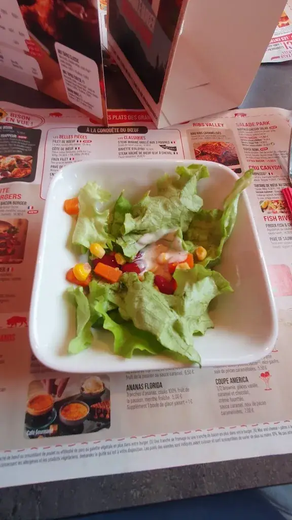 Menu_Buffalo Grill Dommartin-lès-Toul_Dommartin-lès-Toul_image_6