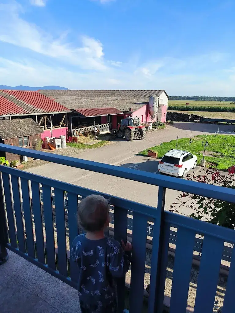 Bex Brahm_Farm TRAU - Hostel, Guest House & Cottage_Ebersheim_review