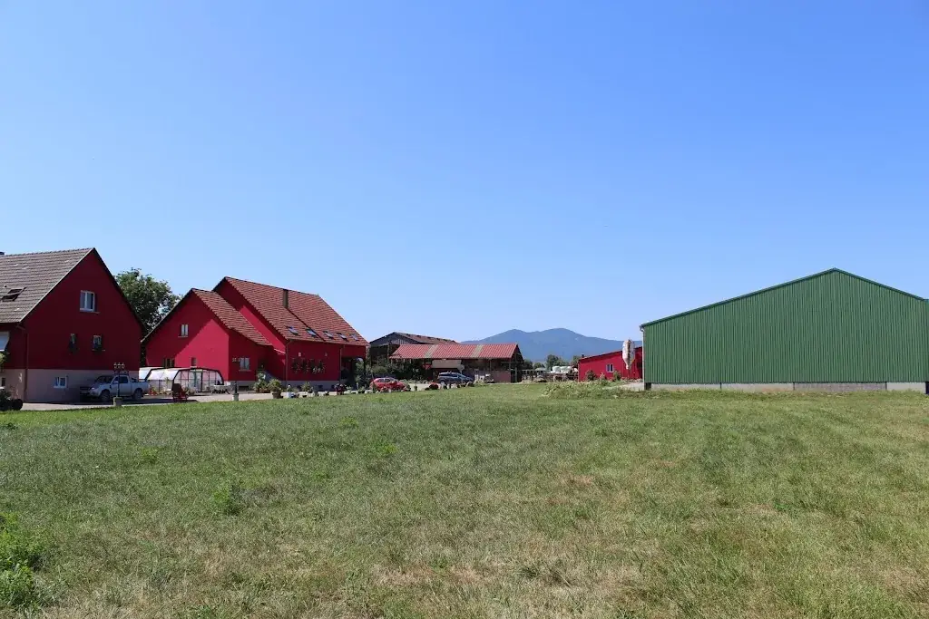 Farm TRAU - Hostel, Guest House & Cottage_Ebersheim_slider_image_2
