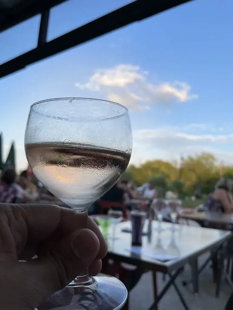 Ludo Livewire_Au Cochon qui s’éveille_Ervy-le-Châtel_review