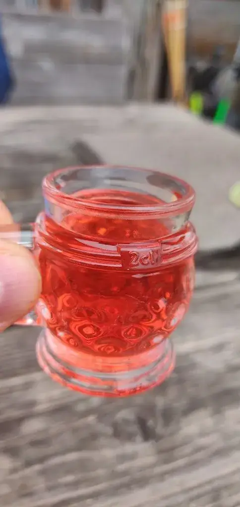 Menu_Sonnenalm_Austria_image_9