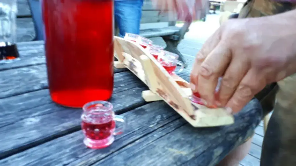 Sharon Avis_Sonnenalm_Austria_review