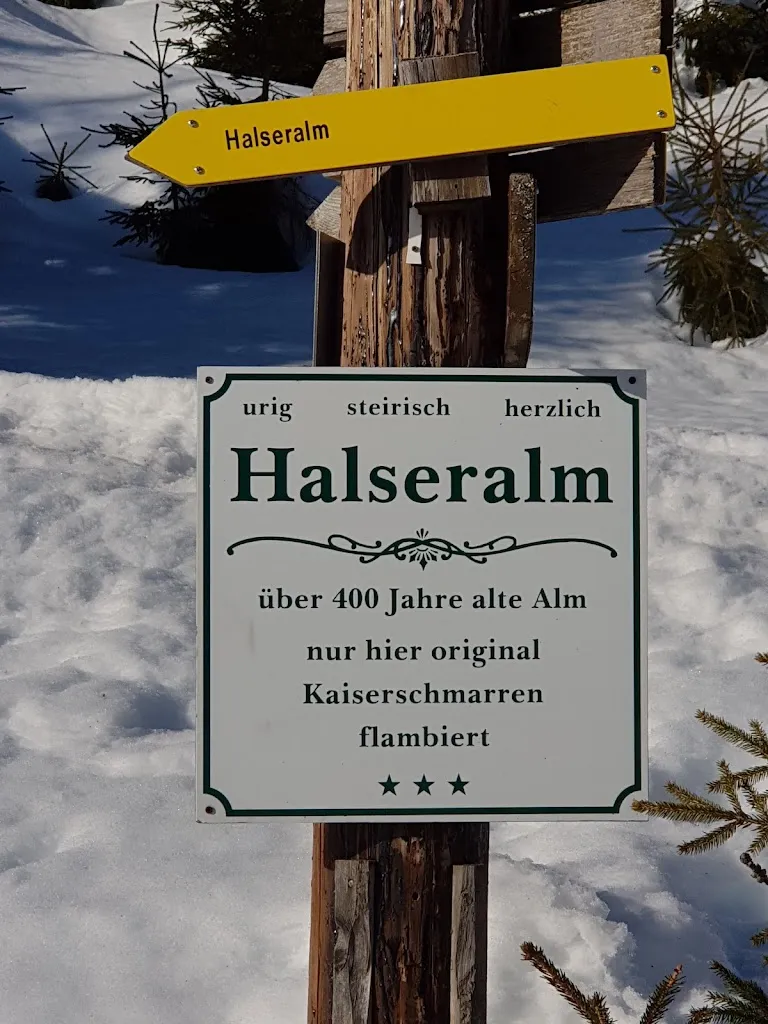 Steve Ellis_Halseralm_Austria_review