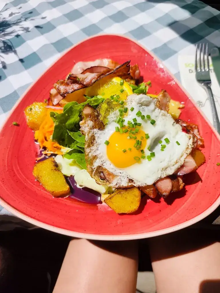 Sabine_Ochsenalm Rittisberg_Austria_review