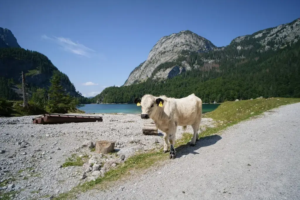 Holzmeister Alm am Hinteren Gosausee_Austria_slider_image_3