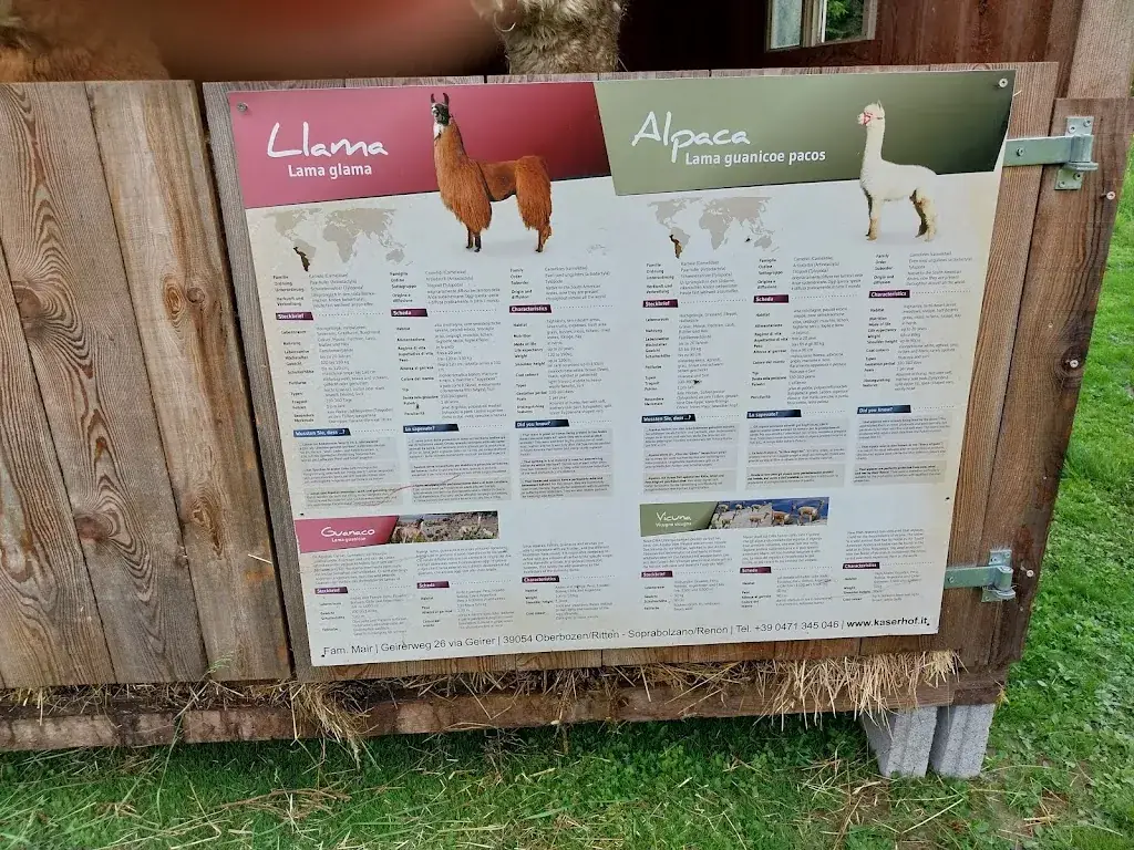 Menu_Auberge du Chêne_Ruelisheim_image_4