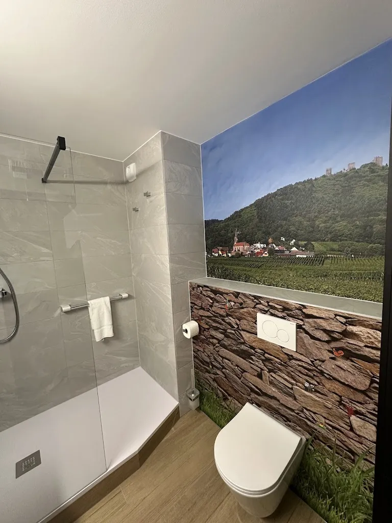 Logis Hôtel Colmar Vignes_Eguisheim_slider_image_3