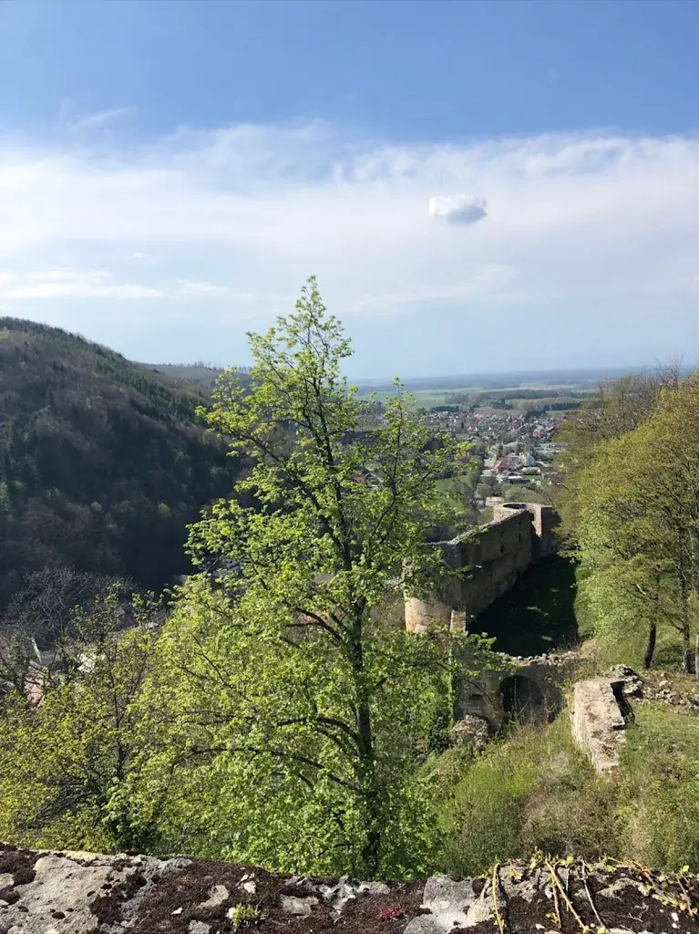 J H_Le Caveau Saint Bernard_Ferrette_review