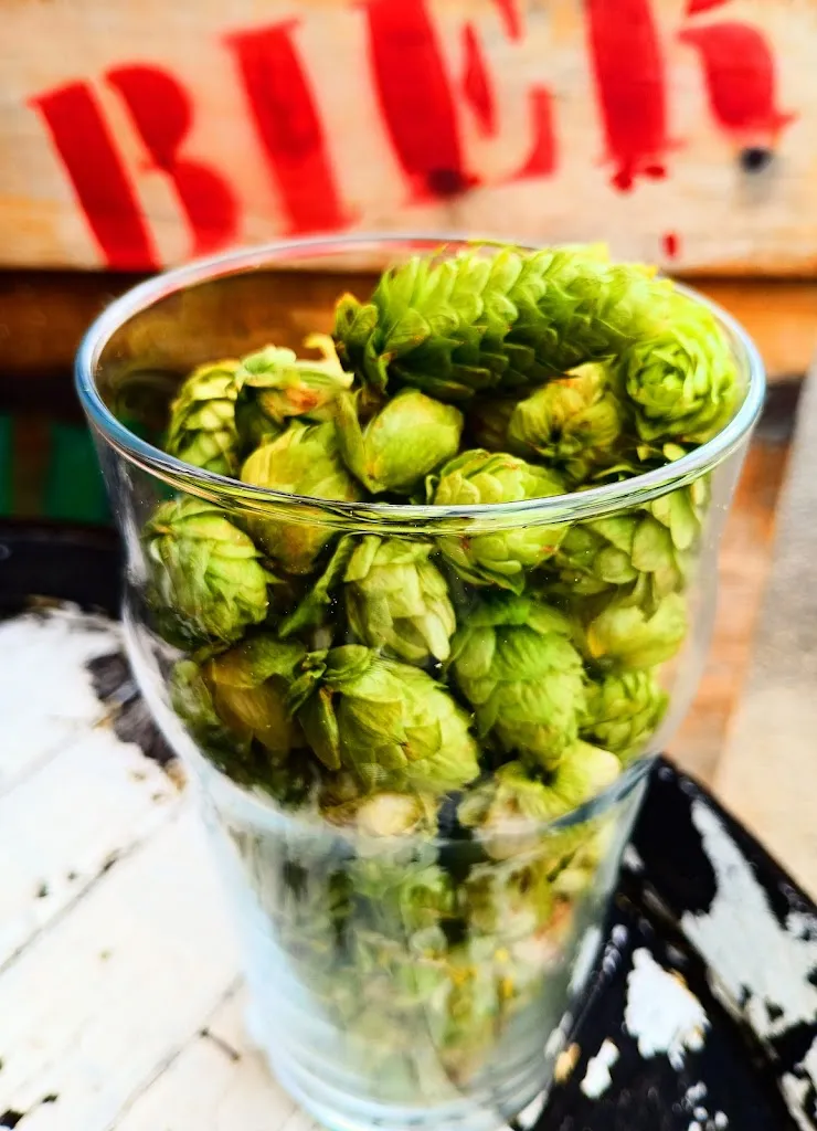 Menu_Microbrasserie/Distillerie Artisanale Radwulf_Vieux-Ferrette_image_8