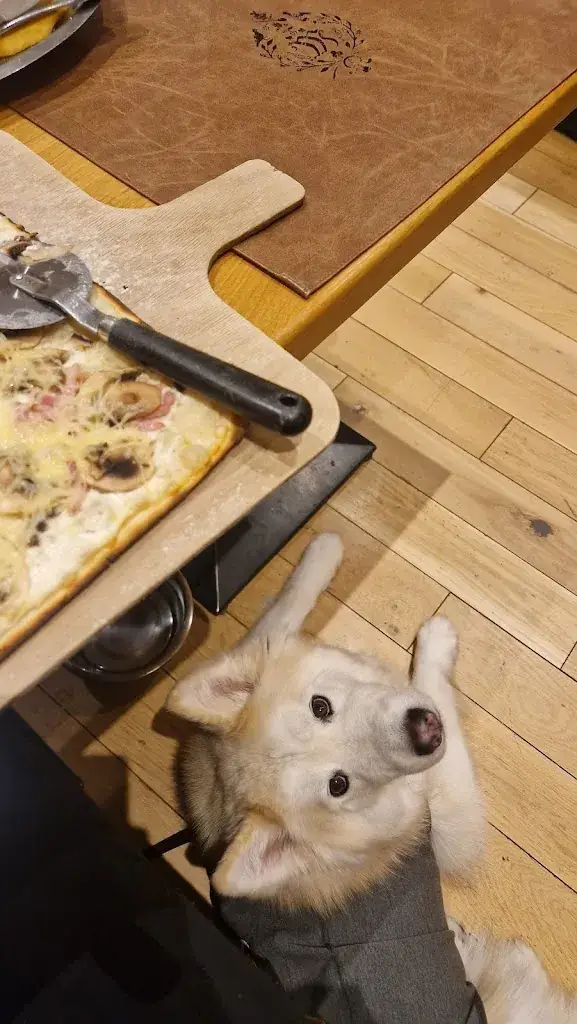 Maddy Ross_Auberge du Moulin_Plobsheim_review