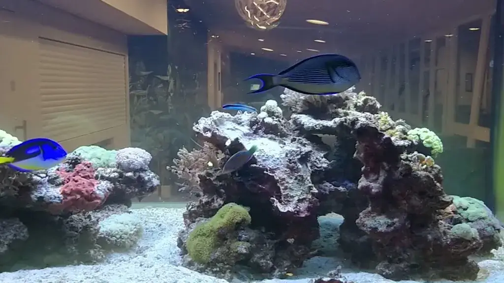 Logis Hôtel Au Cygne_Eschau_slider_image_2