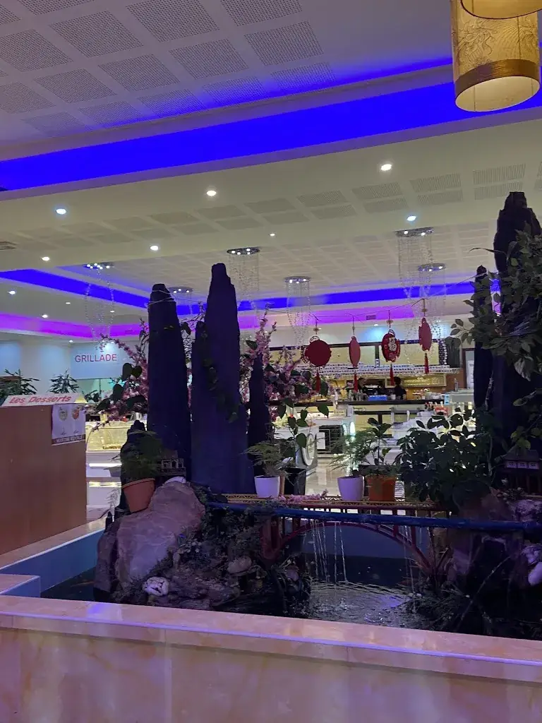 Sabina Creciun_Restaurant asiatique Phénix_Fegersheim_Bewertung