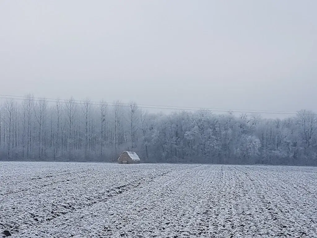 Restaurant au Tramway_Erstein_slider_image_3