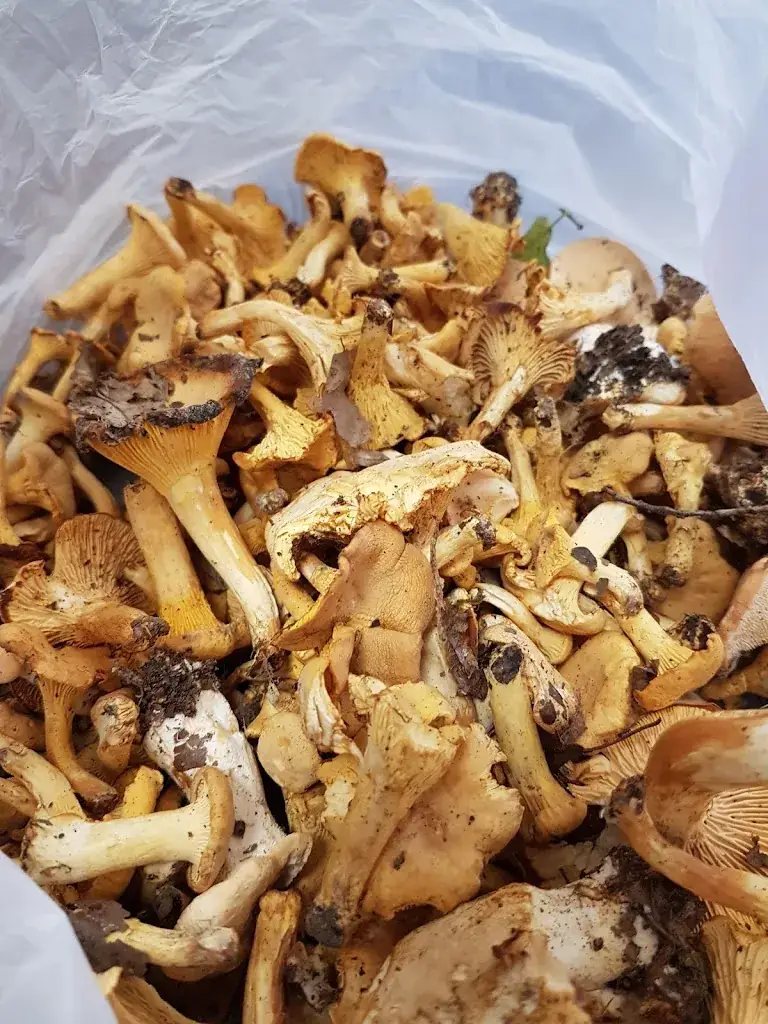 Estevez Nadine_Fontoy_slider_image_2